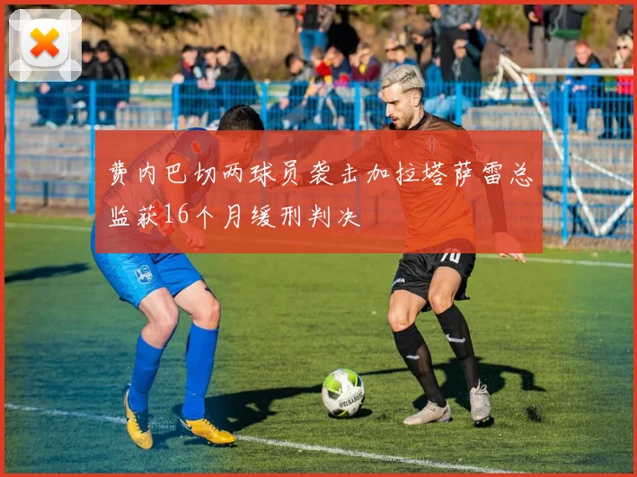 费内巴切两球员袭击加拉塔萨雷总监获16个月缓刑判决