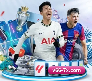 V66体育 APP